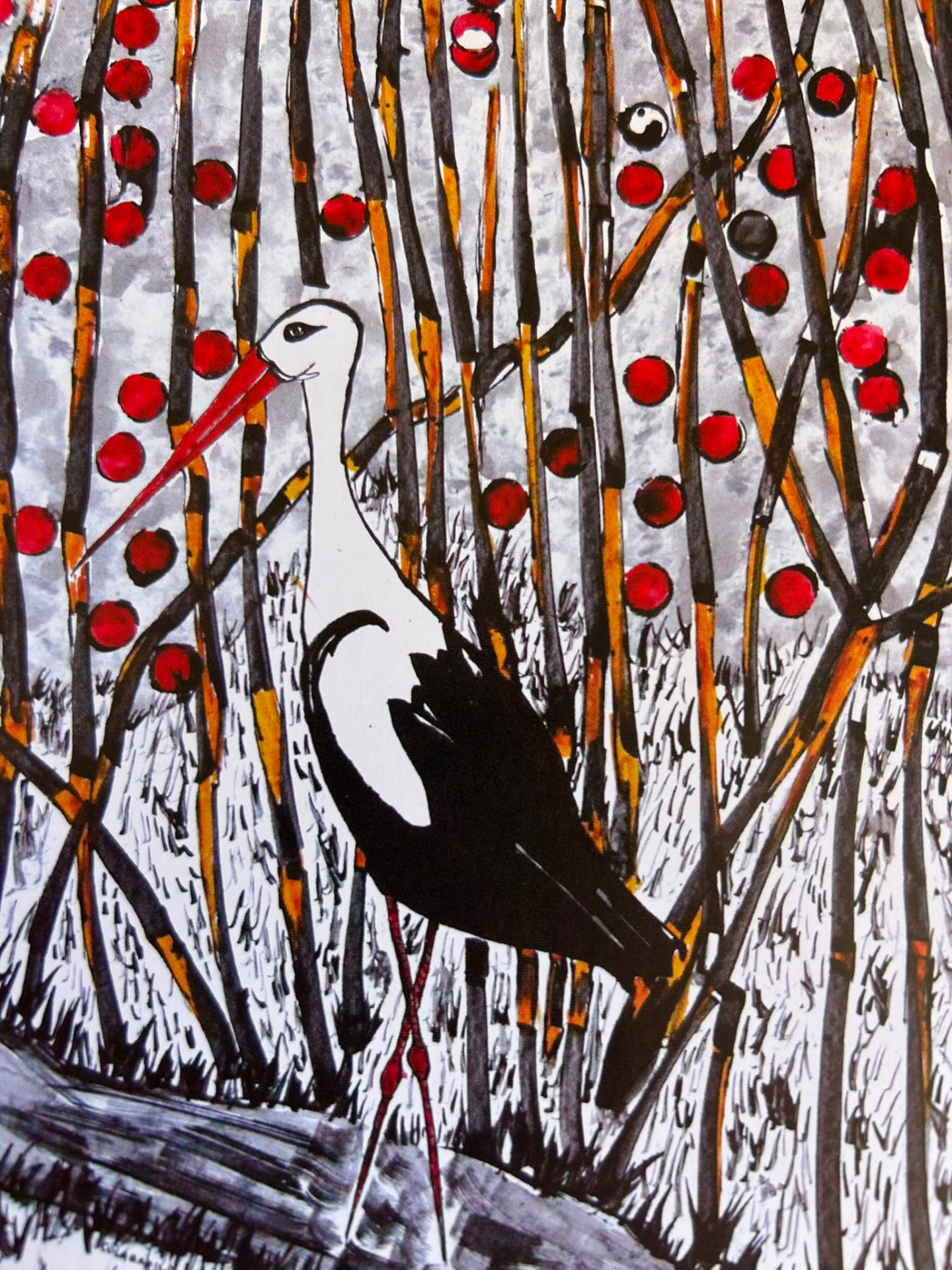 Cigogne aux baies
