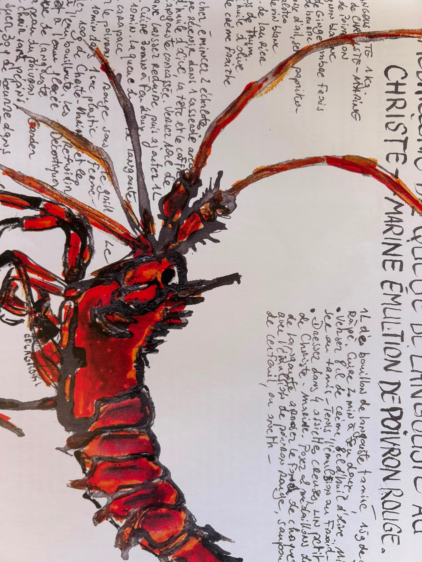 Langouste et christe-marine