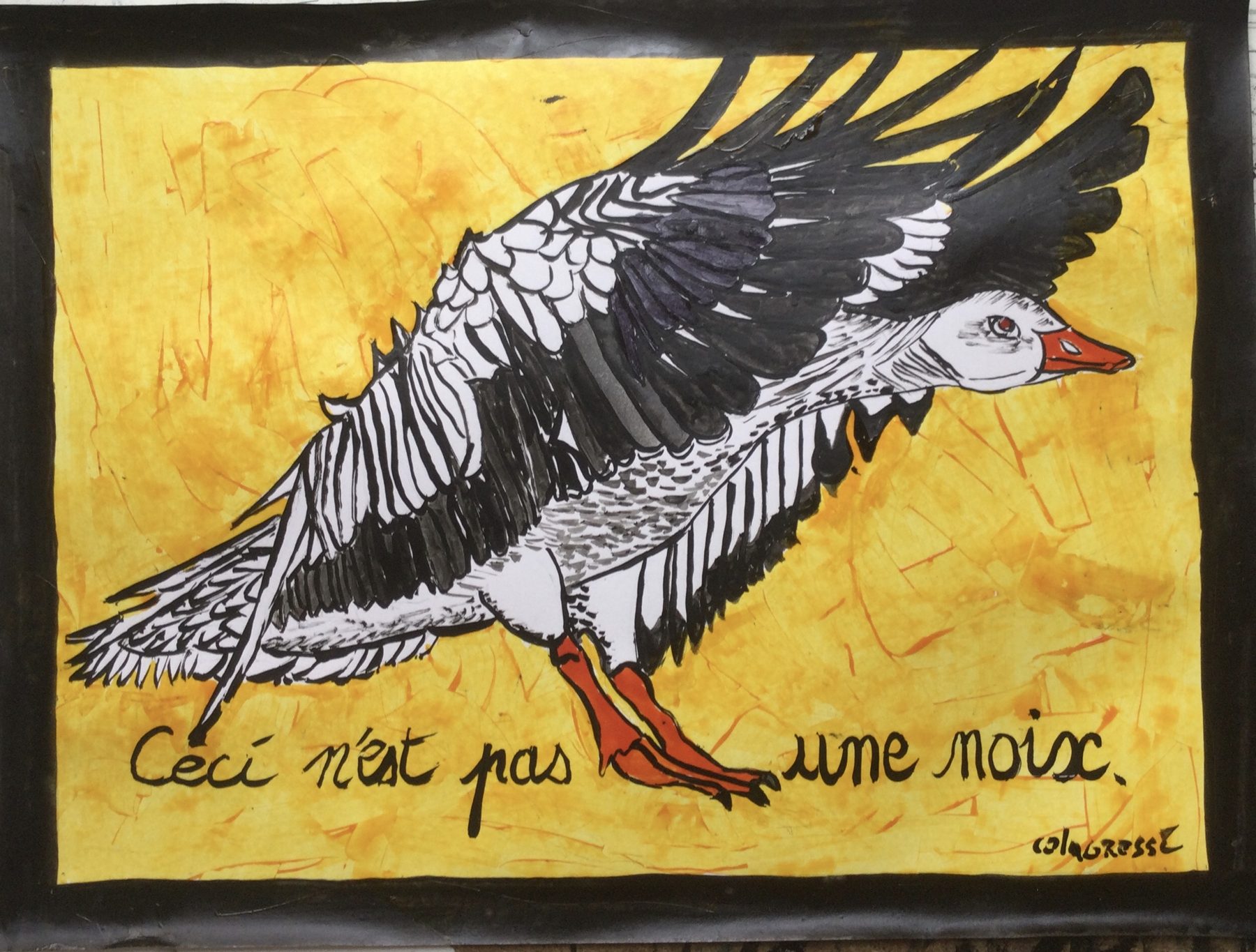 Ceci n'est une noix