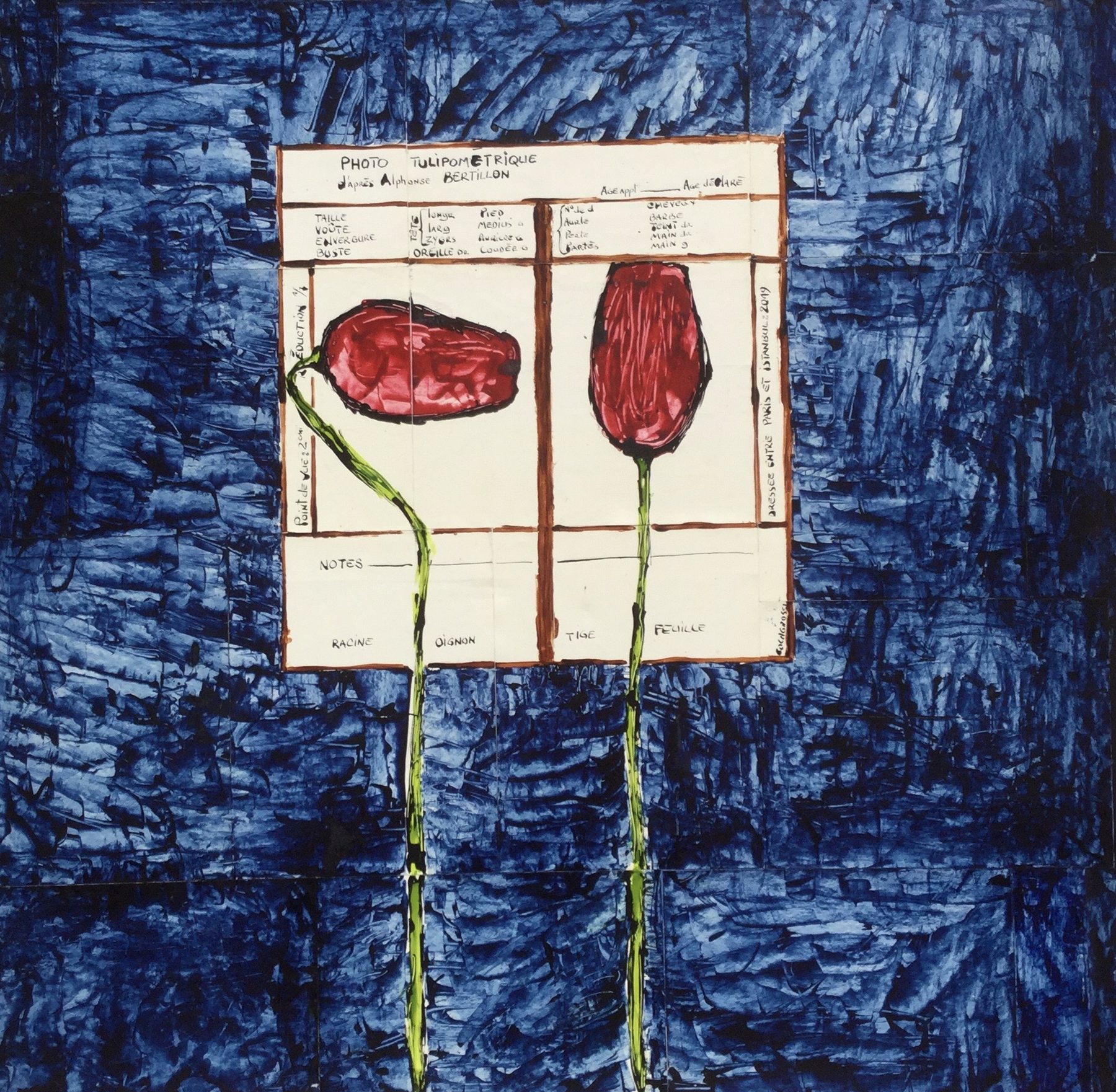 Sans titre 23 — La fleur du mâle