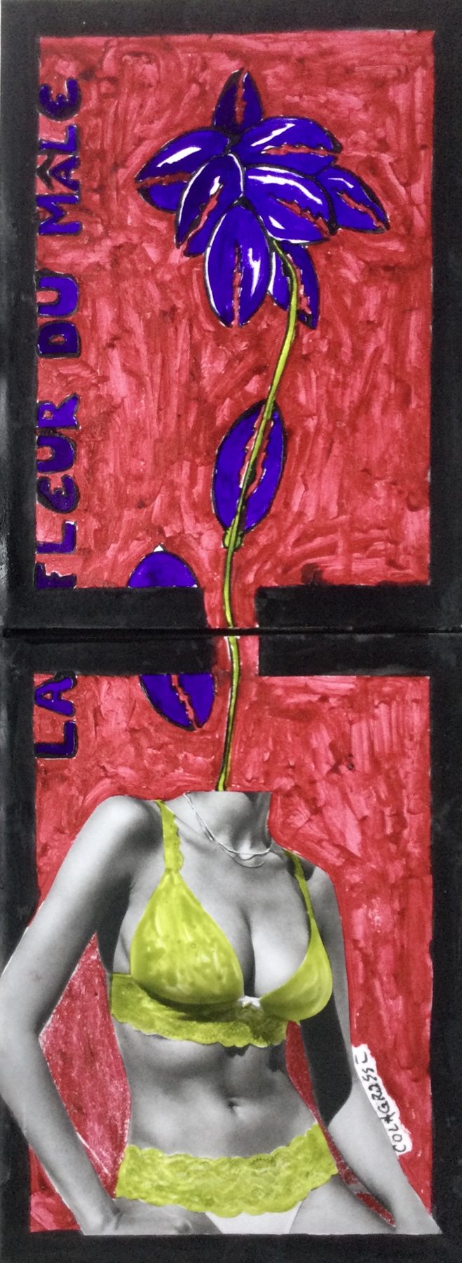 Sans titre 54 — La fleur du mâle